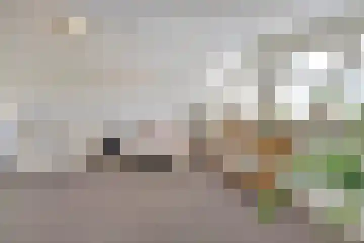 Carleyspassage 23 Venlo thumbnail 16