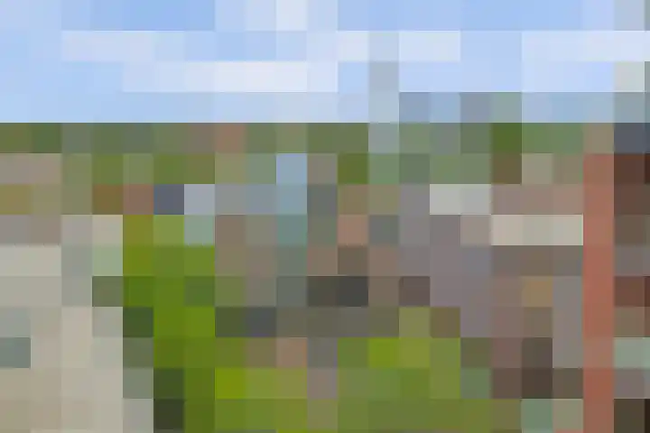 Carleyspassage 23 Venlo thumbnail 22