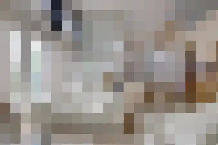 Carleyspassage 23 Venlo thumbnail 4