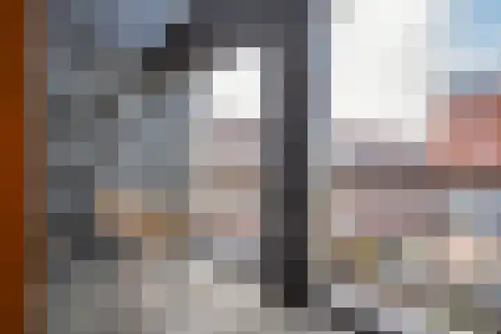 Carleyspassage 25 Venlo thumbnail 25