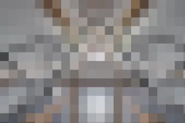 Carleyspassage 25 Venlo thumbnail 47