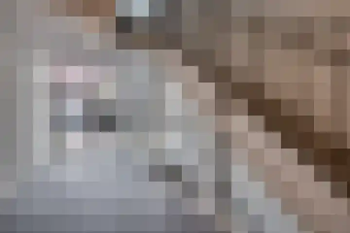 Carleyspassage 25 Venlo thumbnail 5