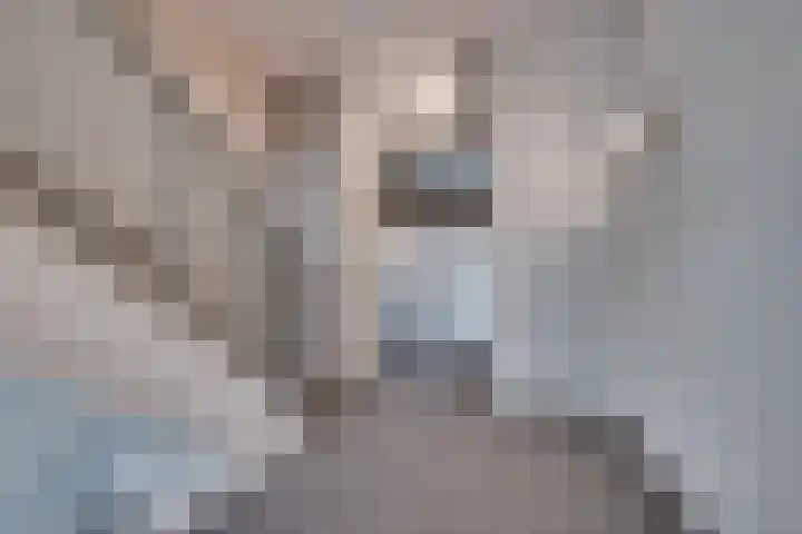 Carleyspassage 25 Venlo thumbnail 7