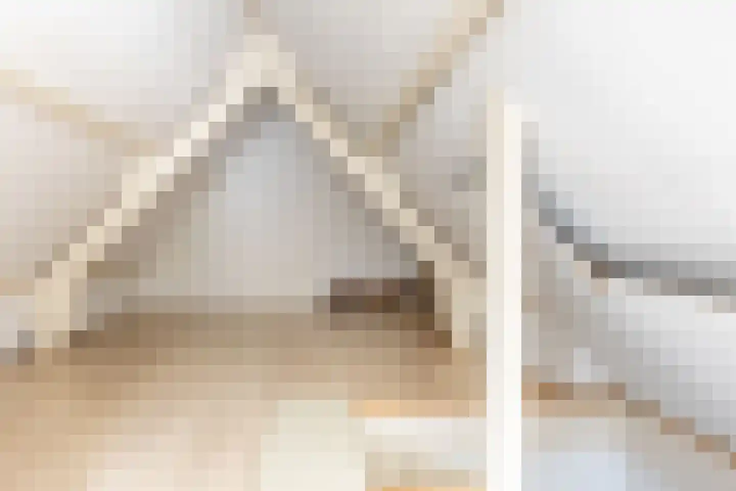 Carmelietenstraat 10 Schoonhoven thumbnail 25