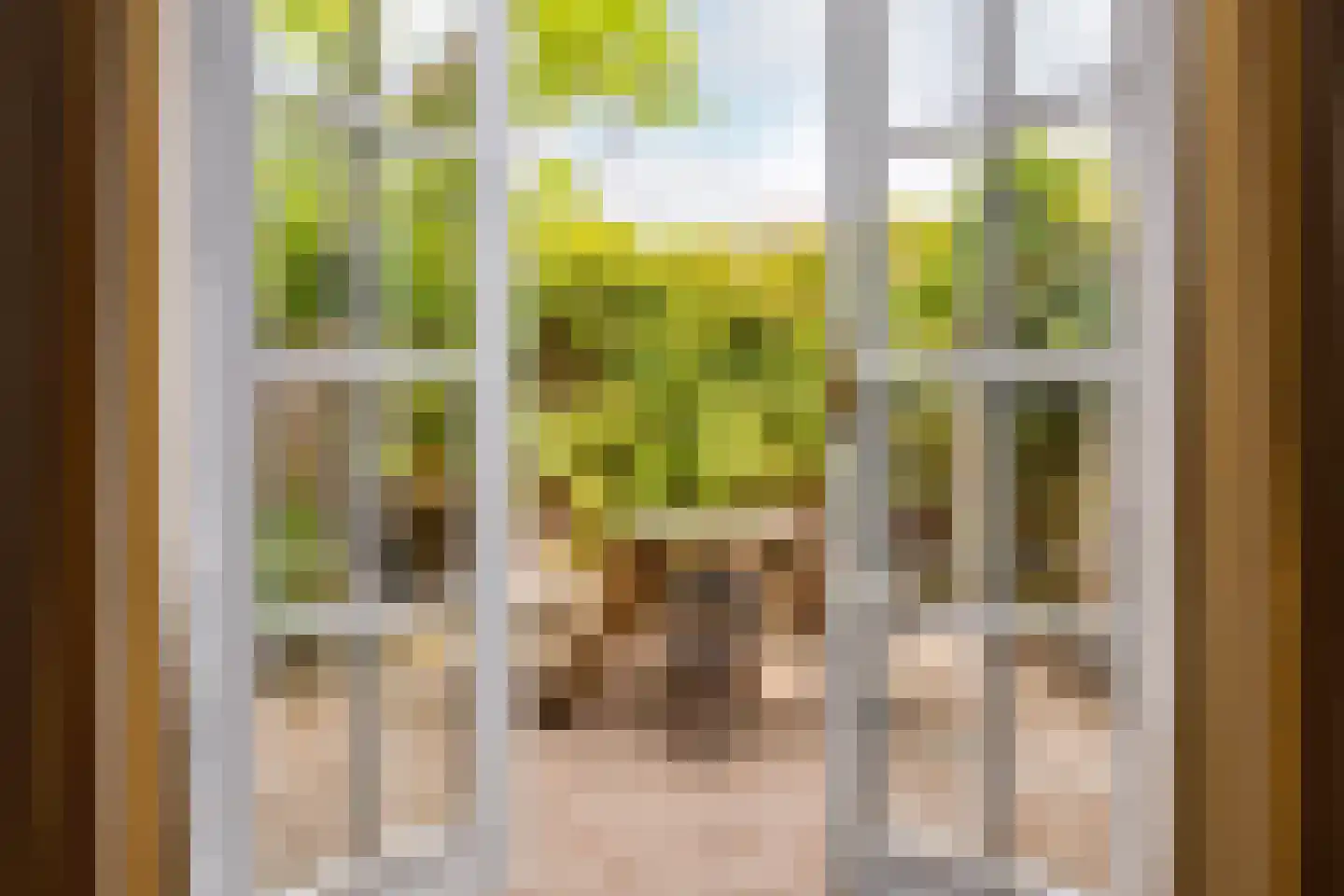 Carmelietenstraat 10 Schoonhoven thumbnail 26