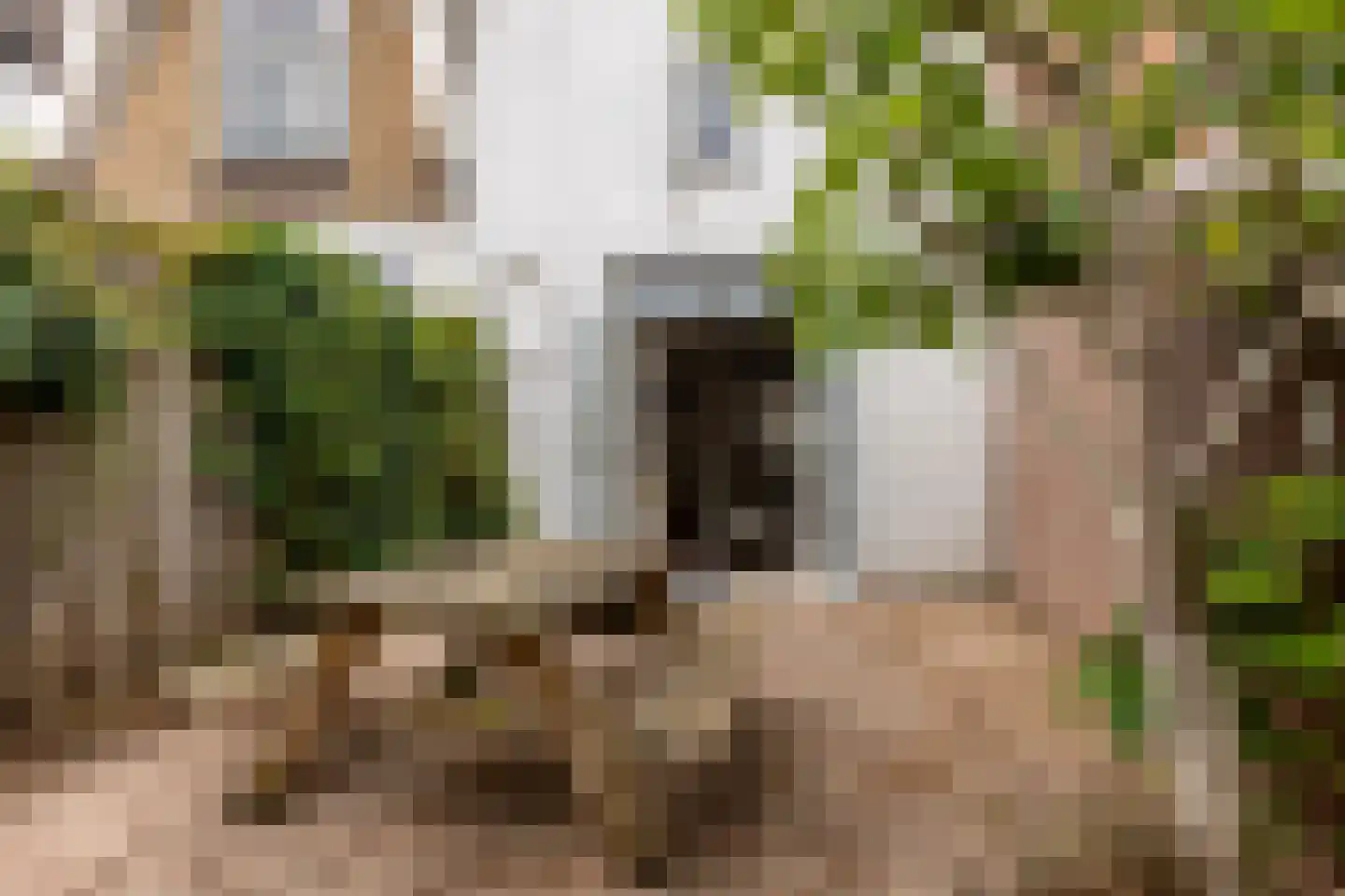 Carmelietenstraat 10 Schoonhoven thumbnail 30