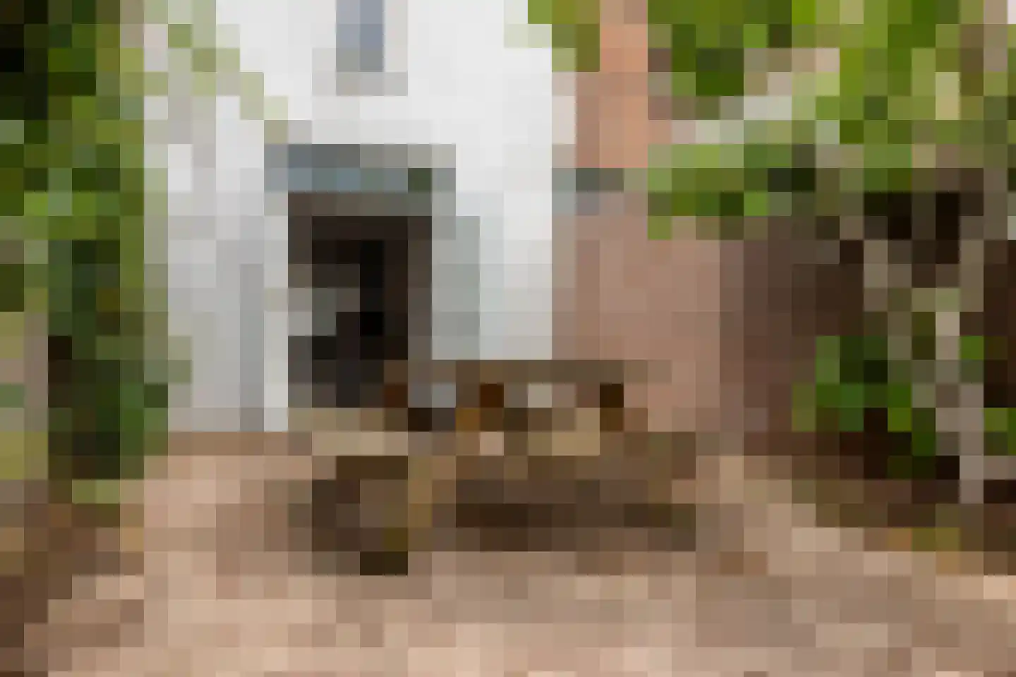 Carmelietenstraat 10 Schoonhoven thumbnail 31