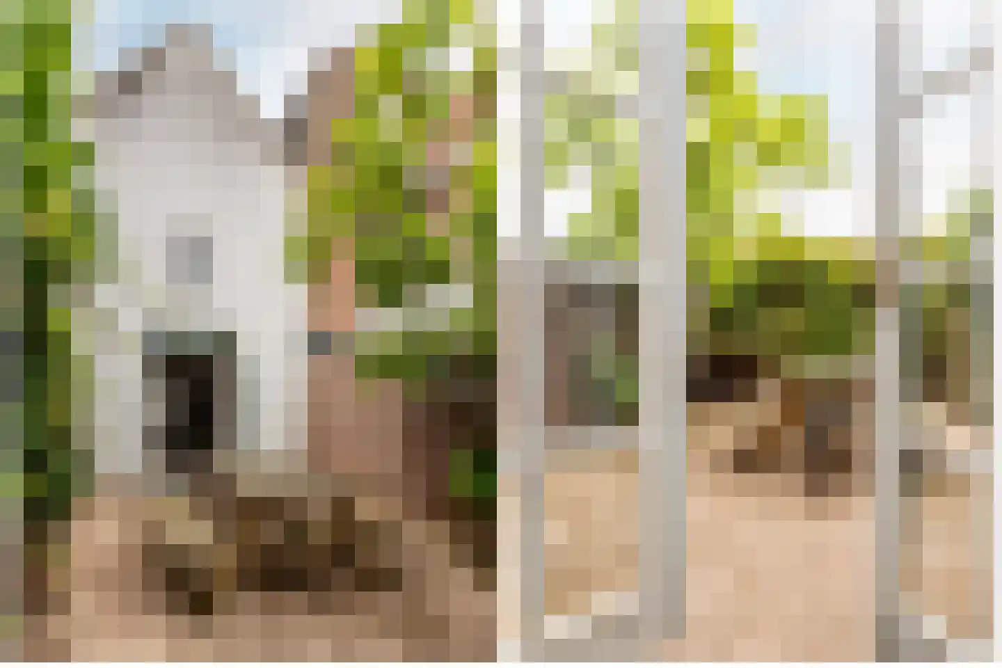 Carmelietenstraat 10 Schoonhoven thumbnail 32