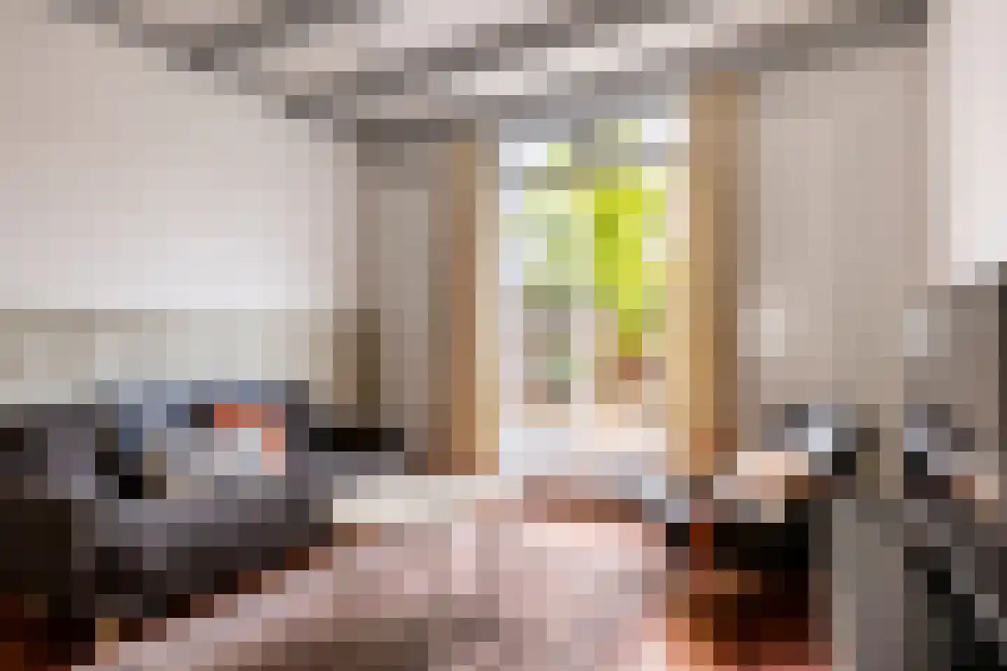 Carmelietenstraat 10 Schoonhoven thumbnail 5