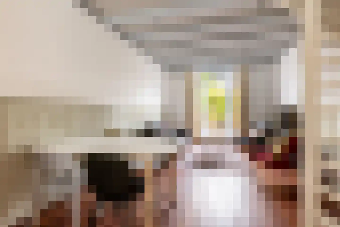 Carmelietenstraat 10 Schoonhoven thumbnail 6