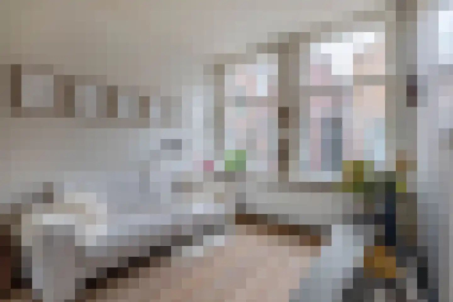 Carmelietenstraat 13 Schoonhoven thumbnail 14