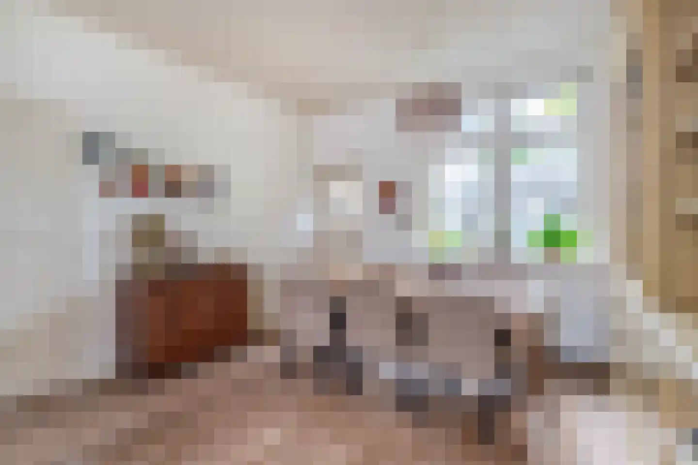 Carmelietenstraat 13 Schoonhoven thumbnail 16