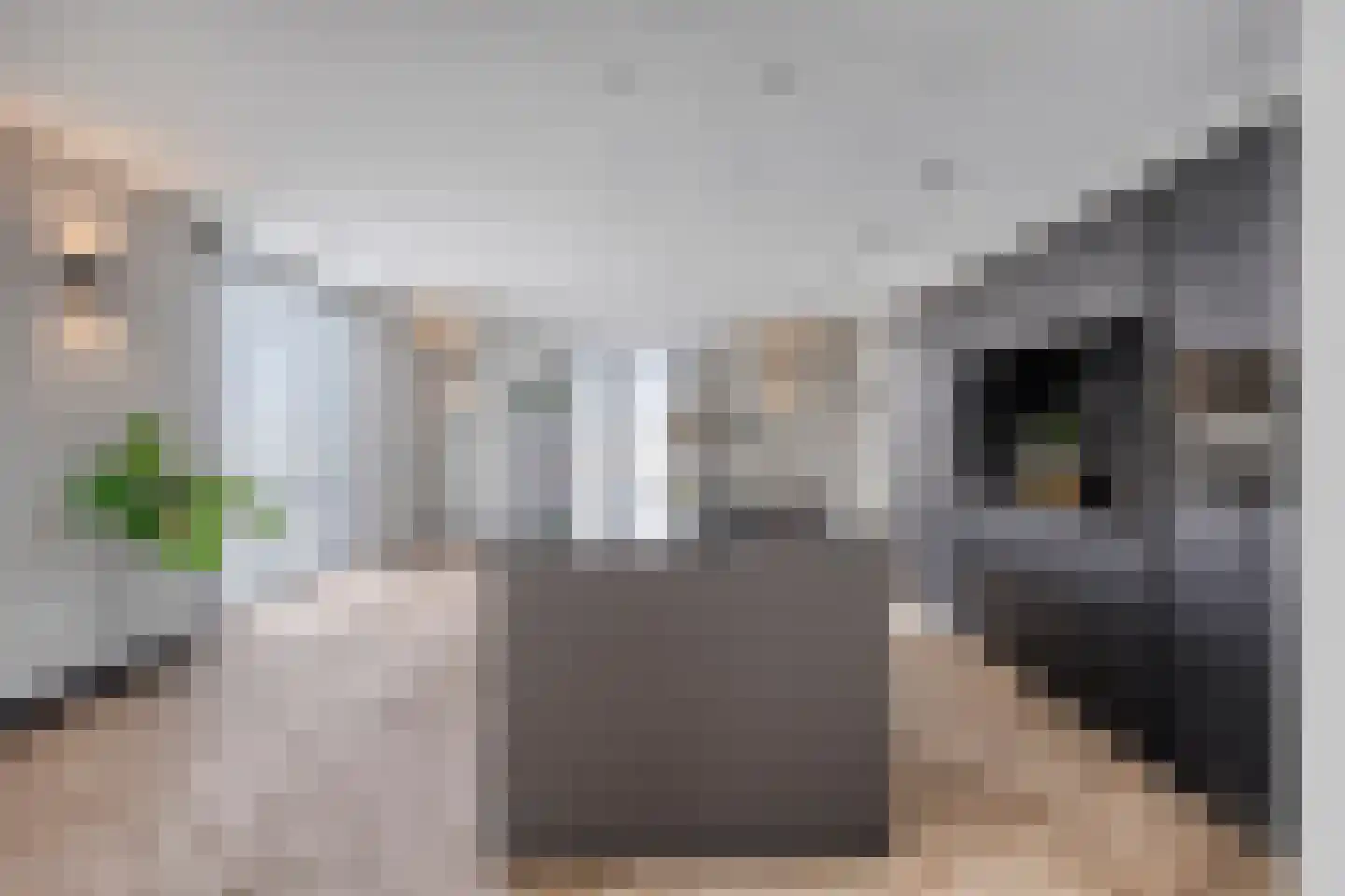 Carmelietenstraat 135 Oss thumbnail 12