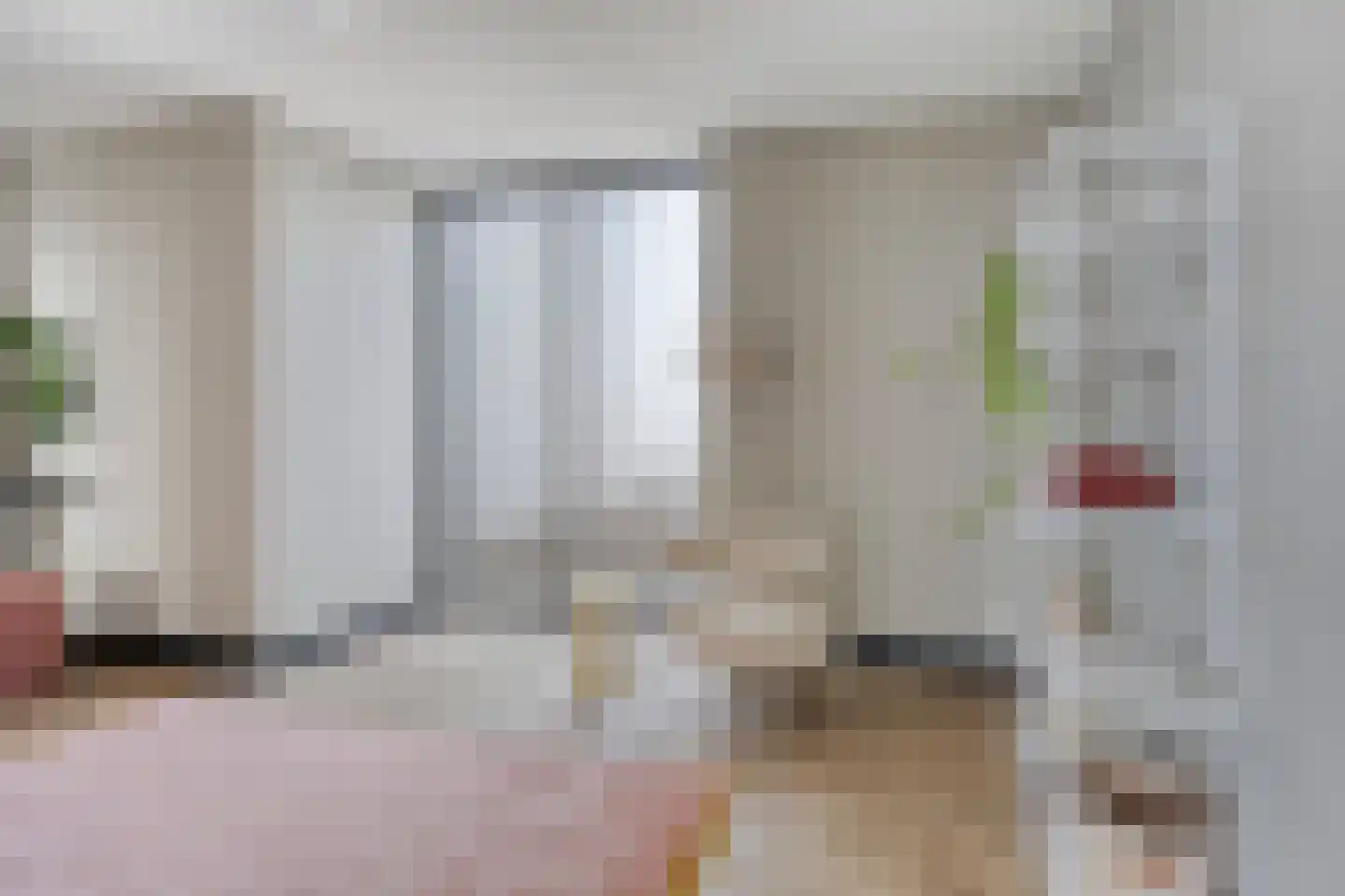 Carmelietenstraat 135 Oss thumbnail 24