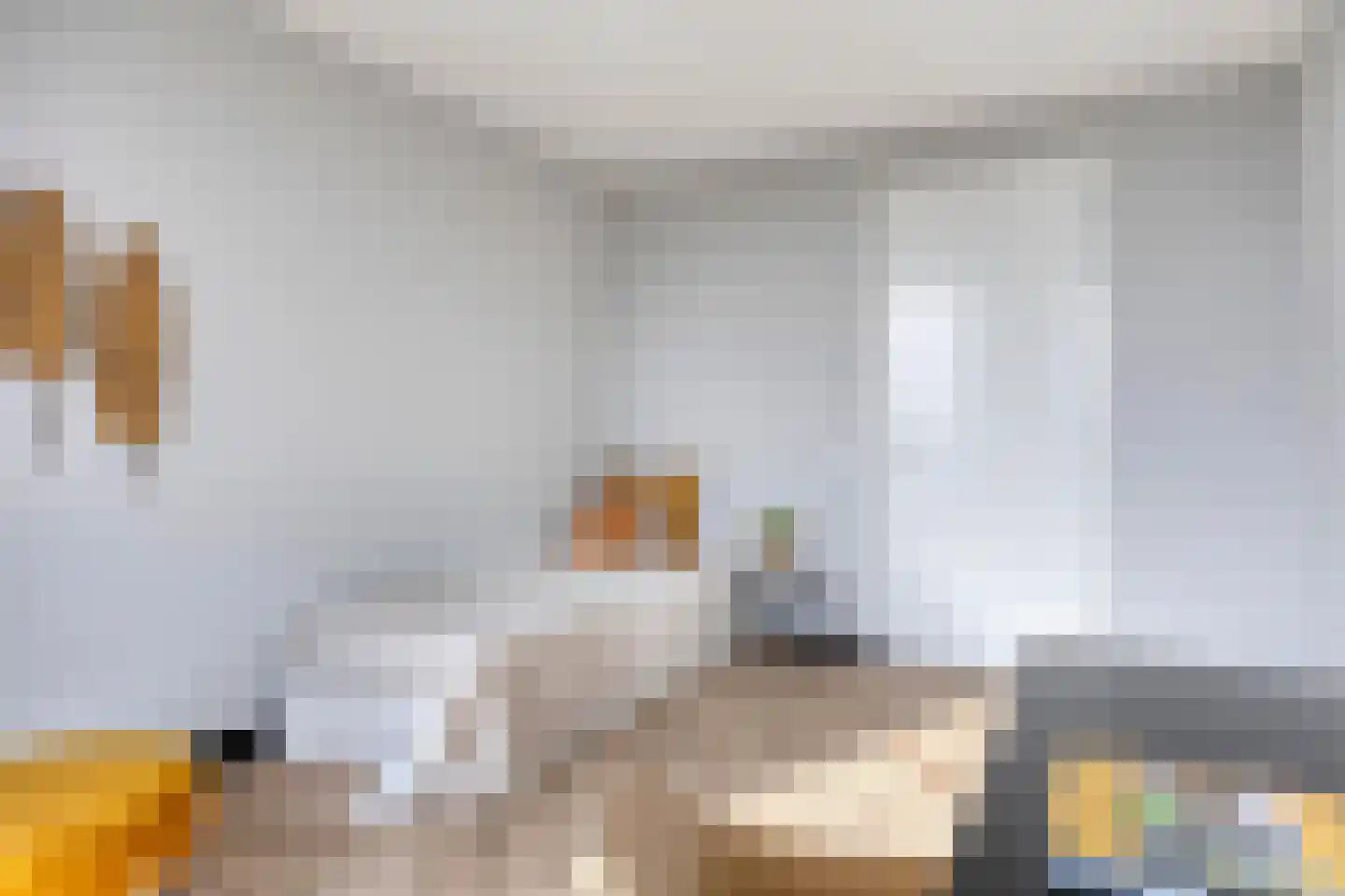 Carmelietenstraat 135 Oss thumbnail 30