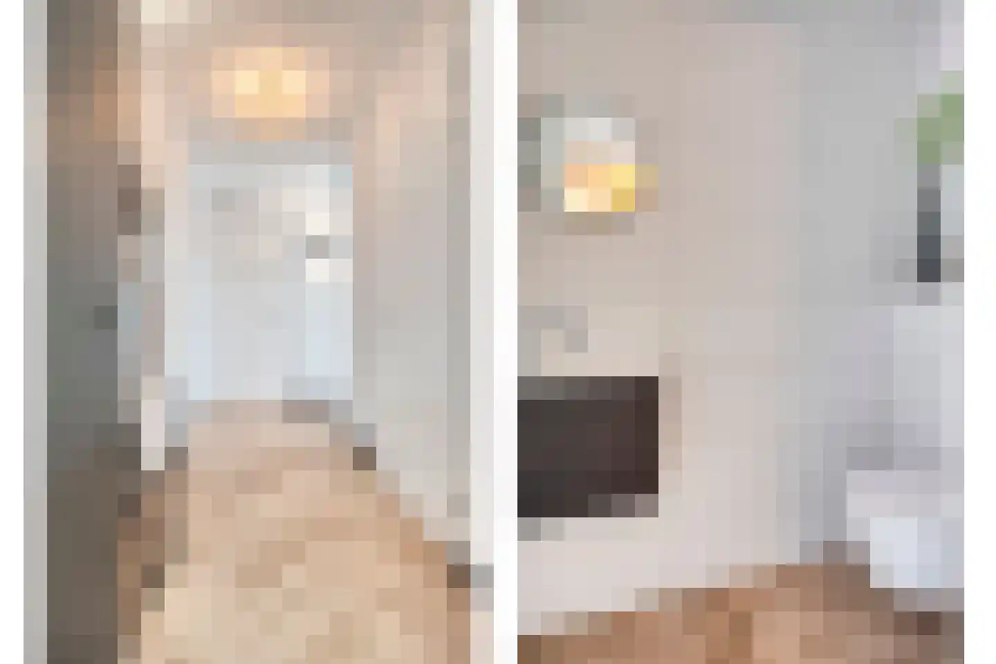 Carmelietenstraat 135 Oss thumbnail 33