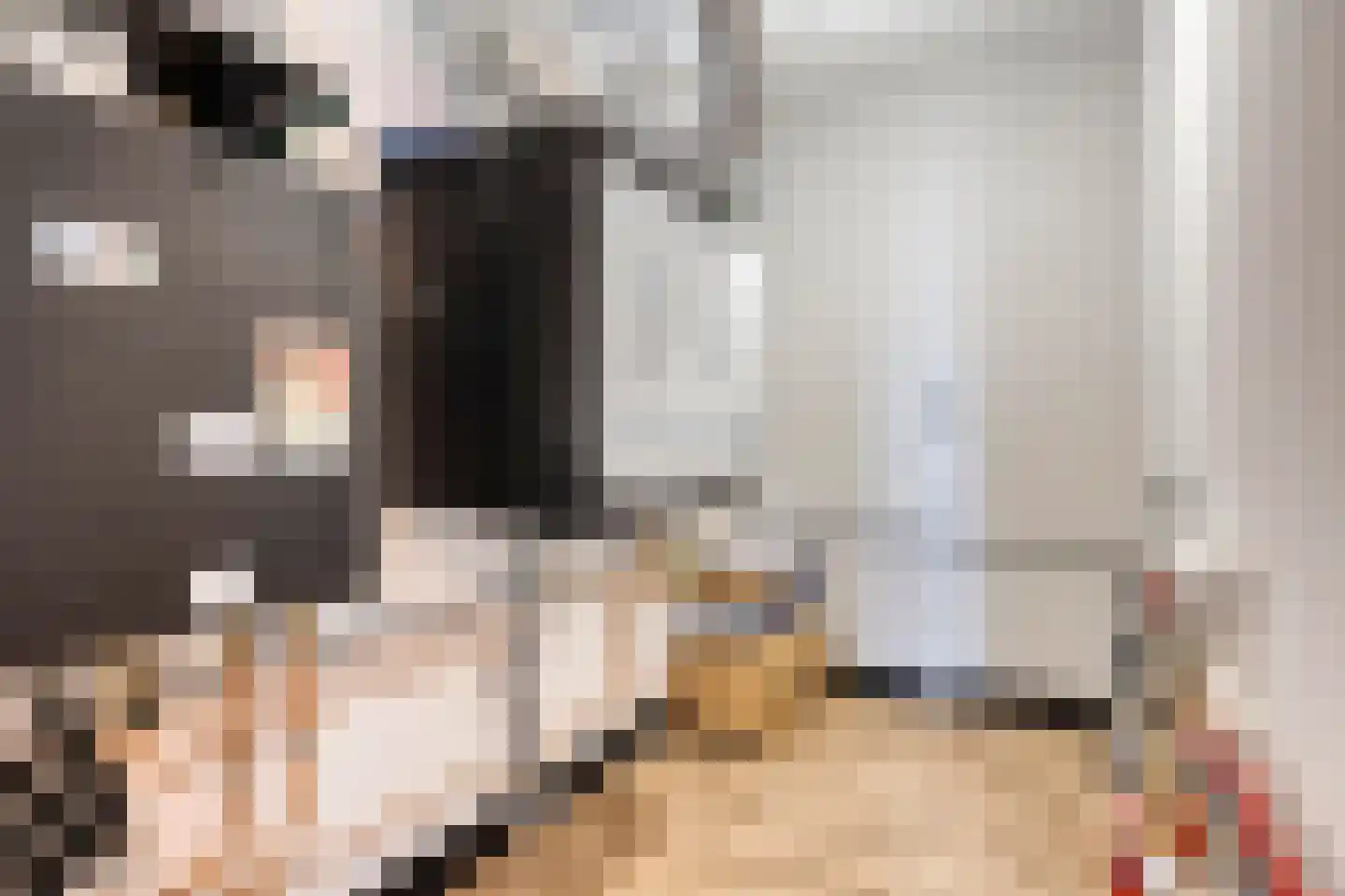 Carmelietenstraat 135 Oss thumbnail 35