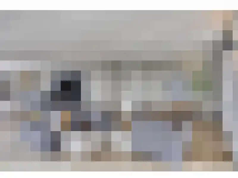 Carmelietenstraat 135 Oss thumbnail 5