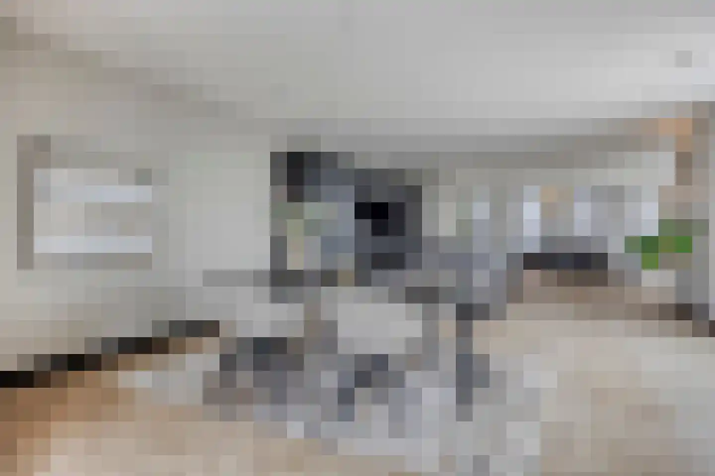 Carmelietenstraat 135 Oss thumbnail 7