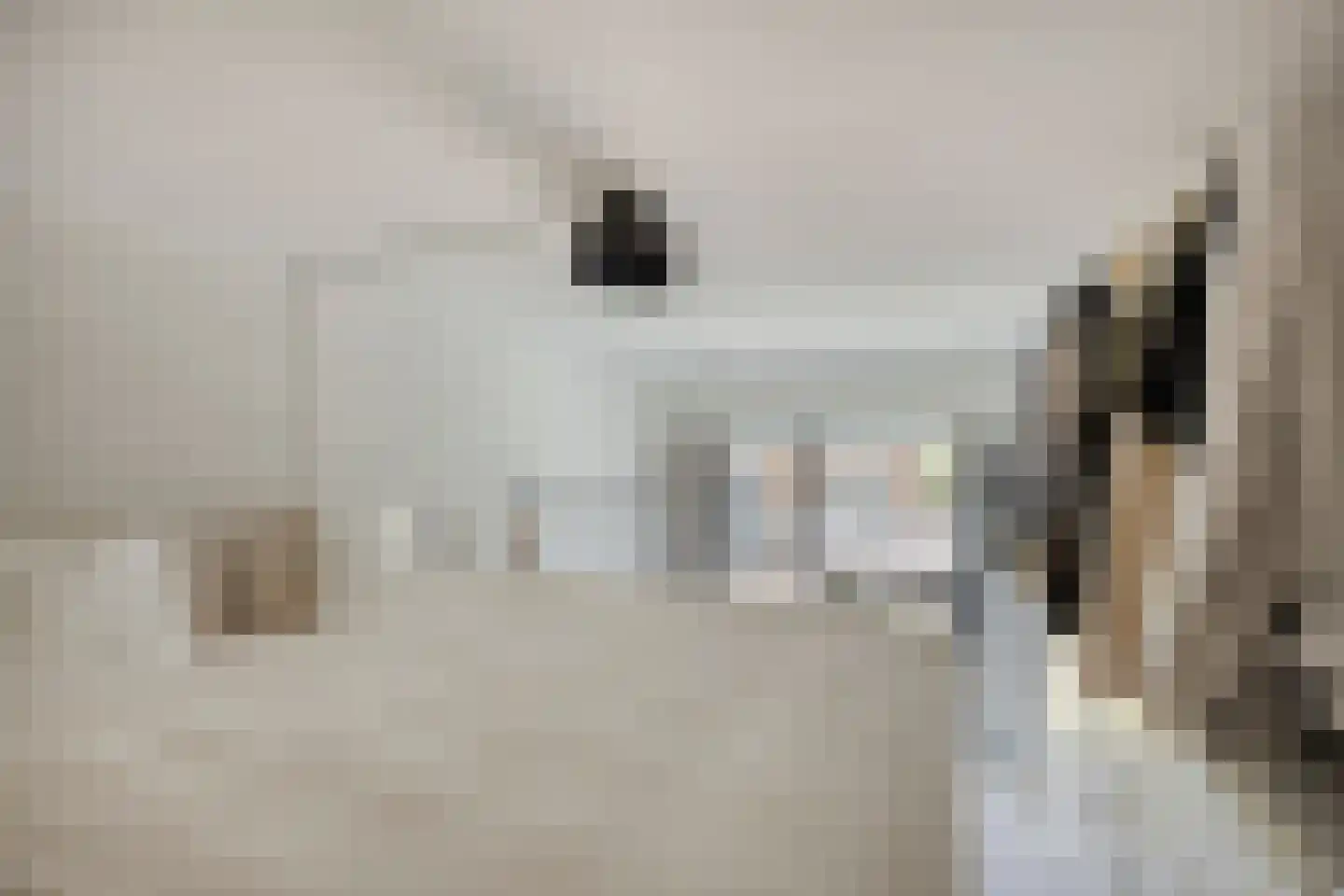 Carmelietenstraat 137 Oss thumbnail 11