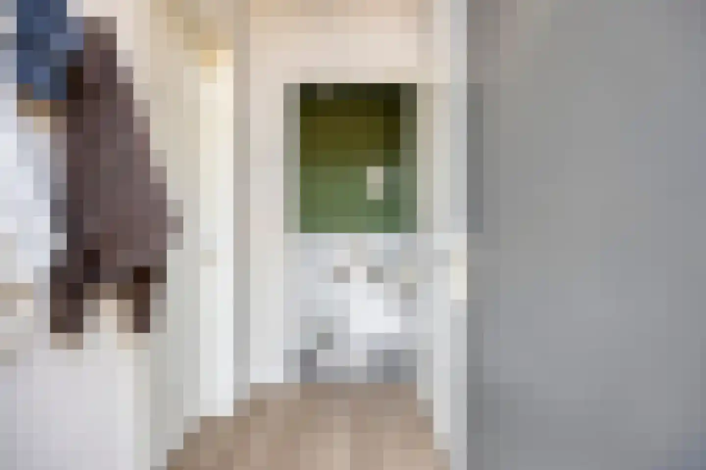 Carmelietenstraat 137 Oss thumbnail 13