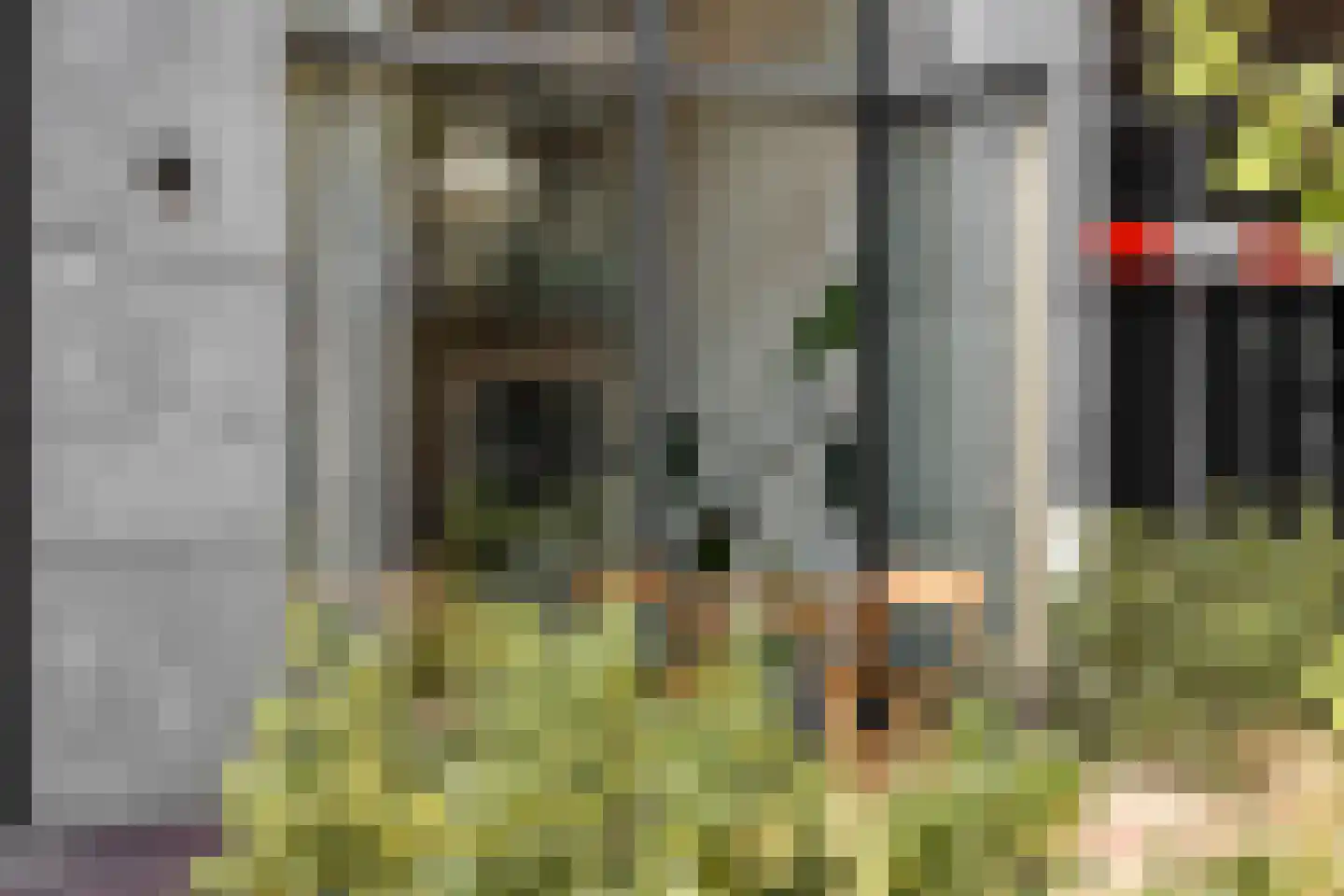 Carmelietenstraat 137 Oss thumbnail 16