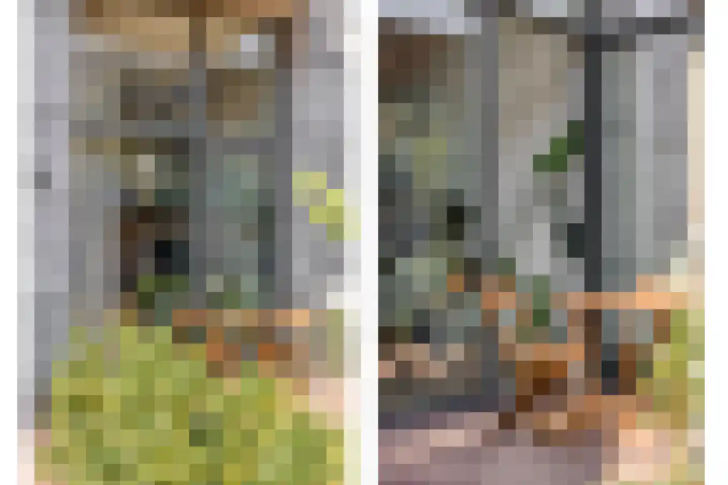 Carmelietenstraat 137 Oss thumbnail 26