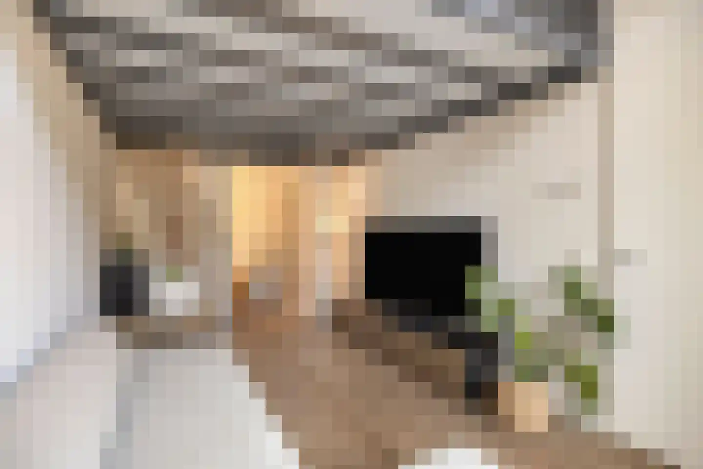 Carmelietenstraat 137 Oss thumbnail 4