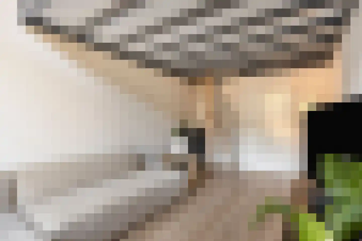 Carmelietenstraat 137 Oss thumbnail 5