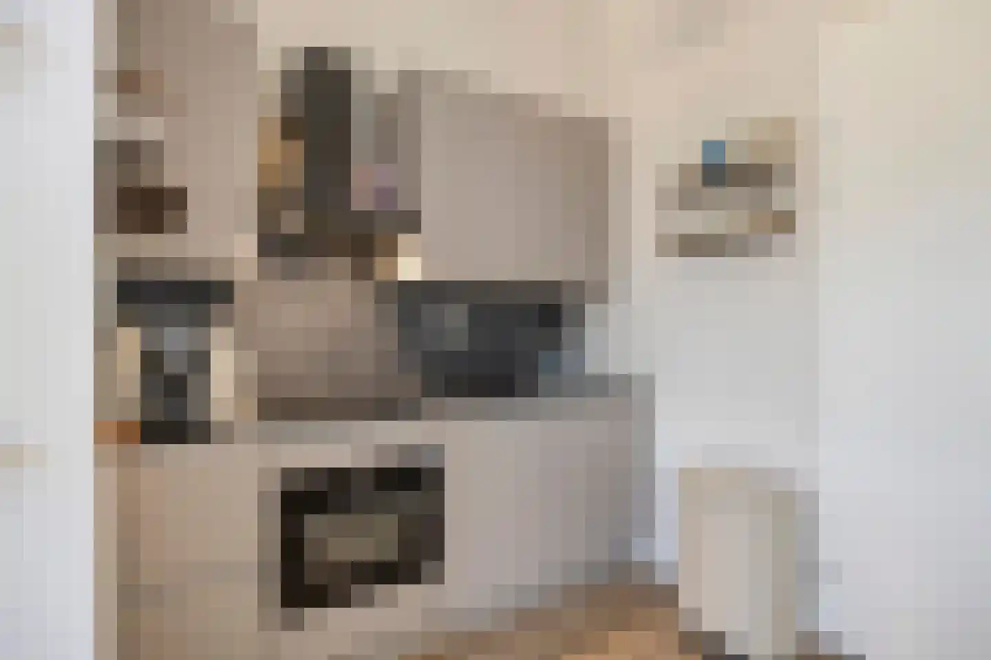 Carmelietenstraat 137 Oss thumbnail 6