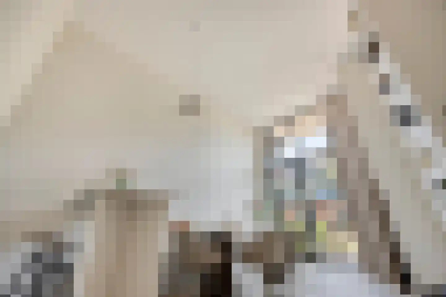 Carmelietenstraat 137 Oss thumbnail 7