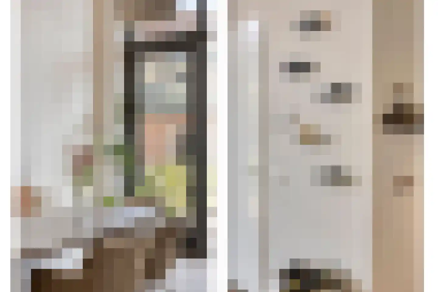 Carmelietenstraat 137 Oss thumbnail 8