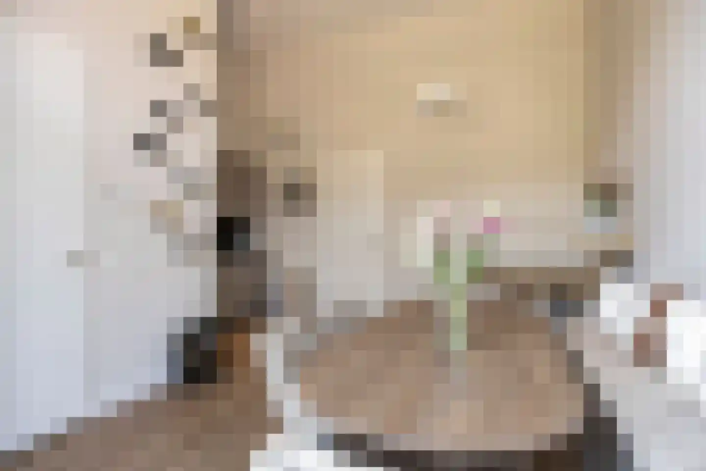 Carmelietenstraat 137 Oss thumbnail 9