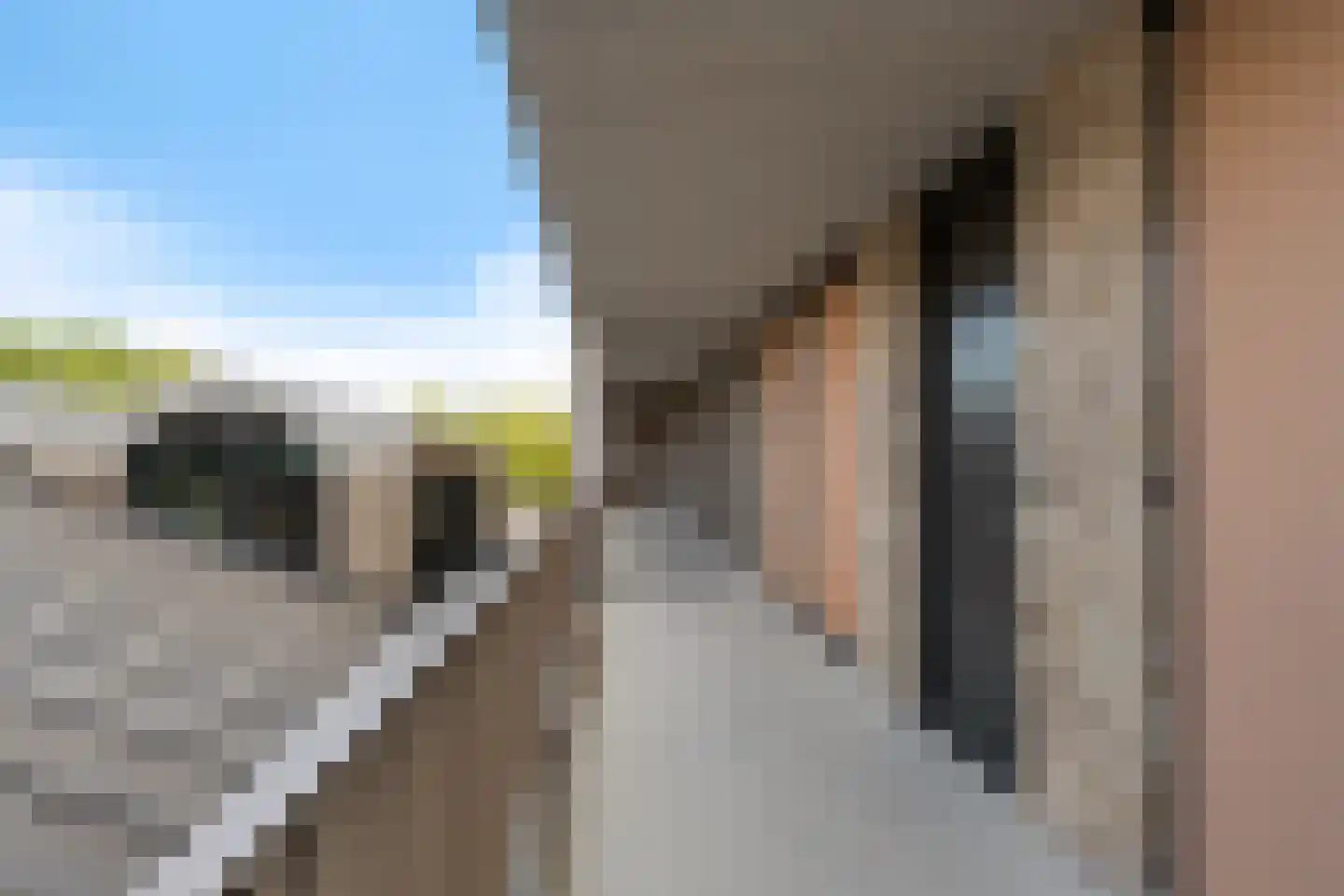 Carmelietenstraat 37 Oss thumbnail 10