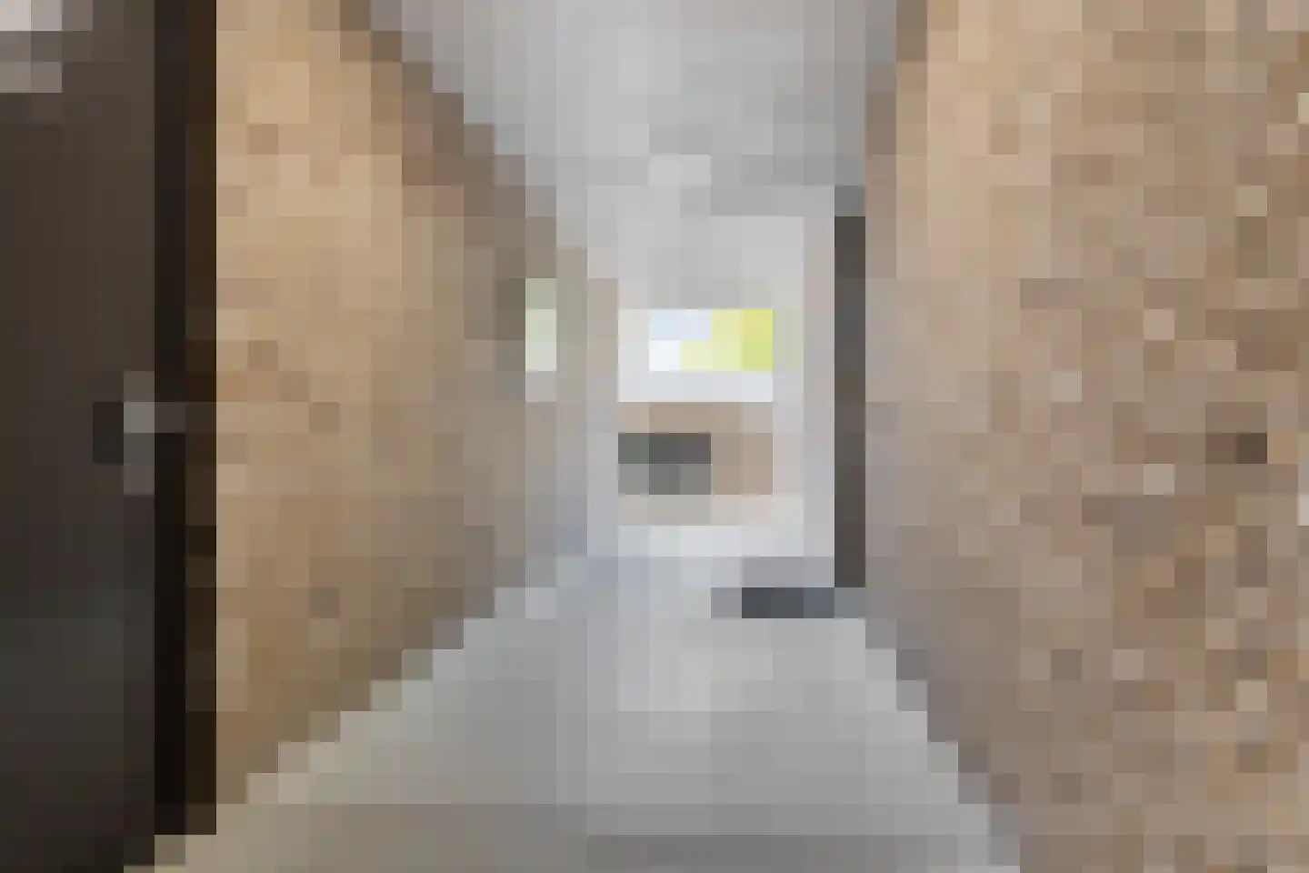 Carmelietenstraat 37 Oss thumbnail 11