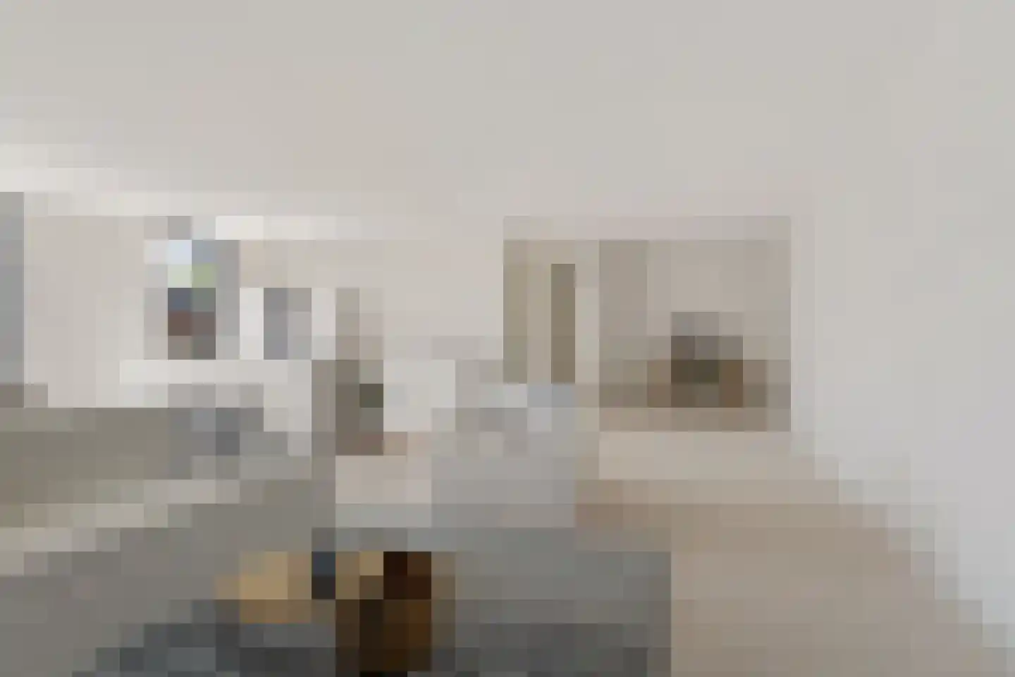 Carmelietenstraat 37 Oss thumbnail 14
