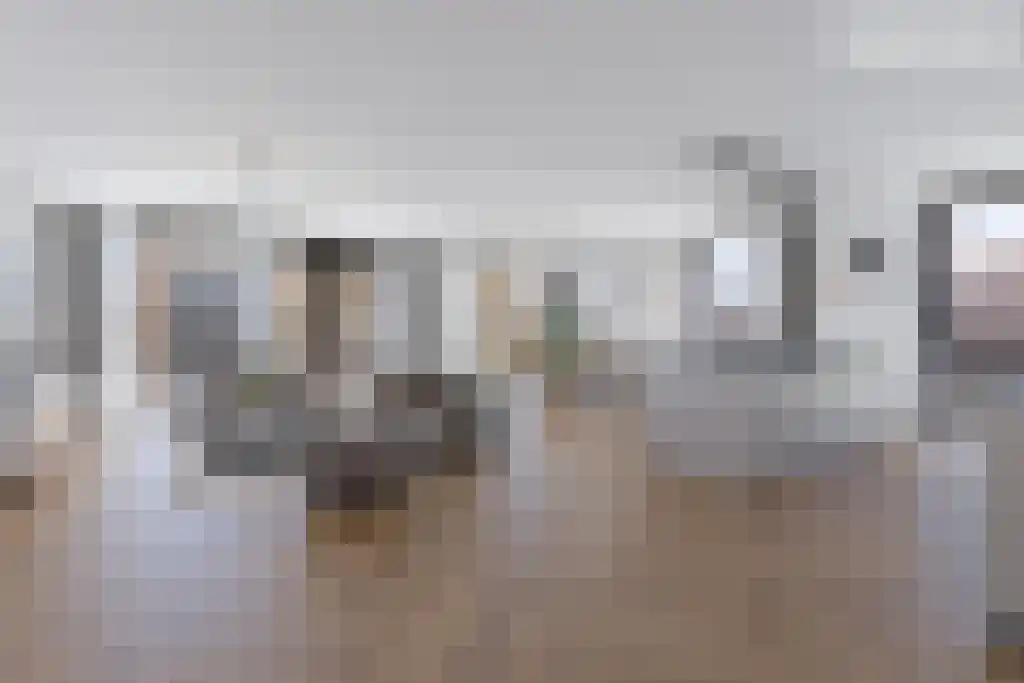 Carmelietenstraat 37 Oss thumbnail 17