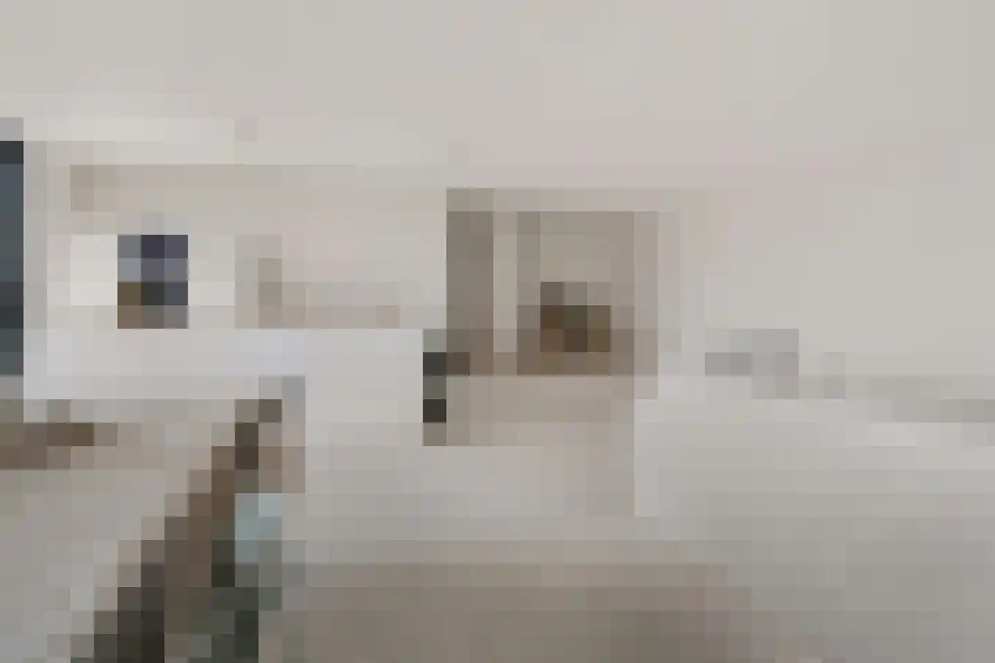 Carmelietenstraat 37 Oss thumbnail 18