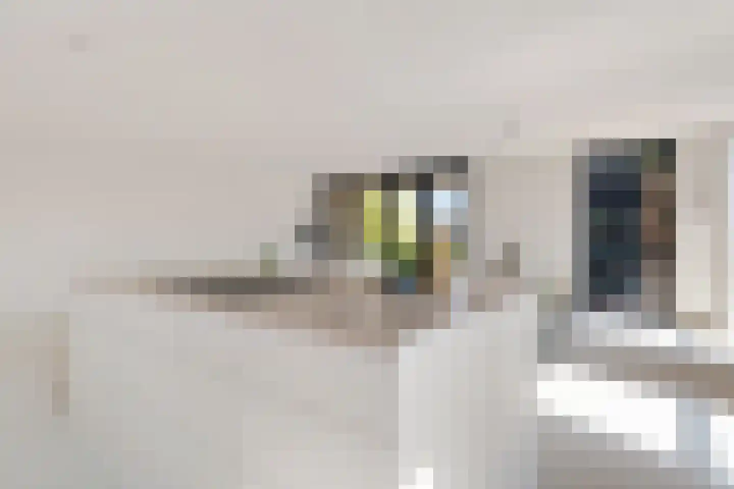 Carmelietenstraat 37 Oss thumbnail 20