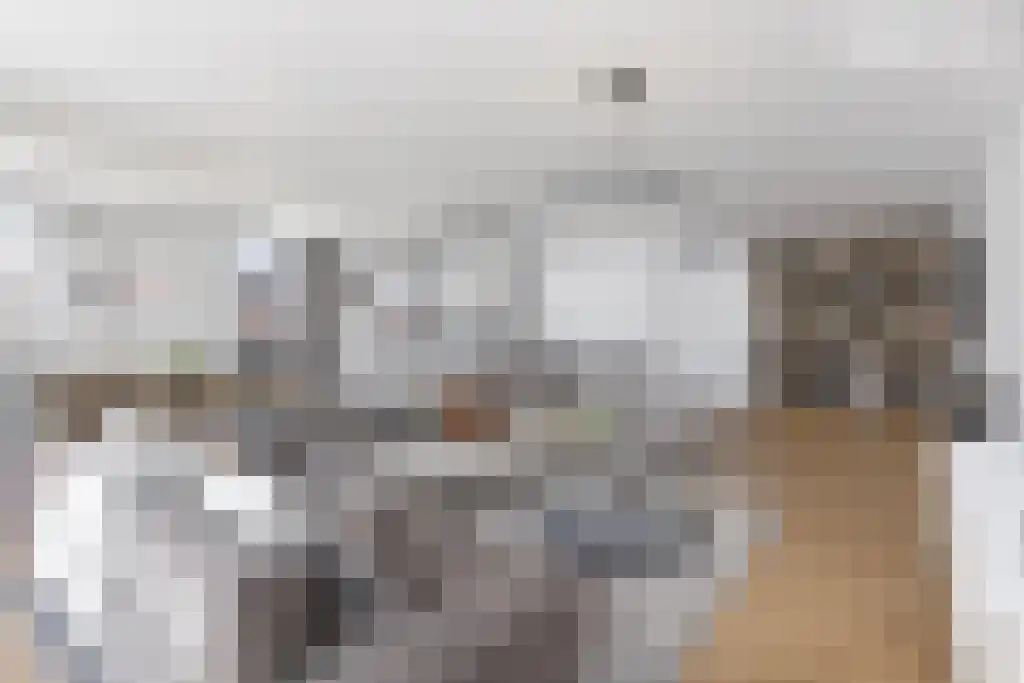 Carmelietenstraat 37 Oss thumbnail 22