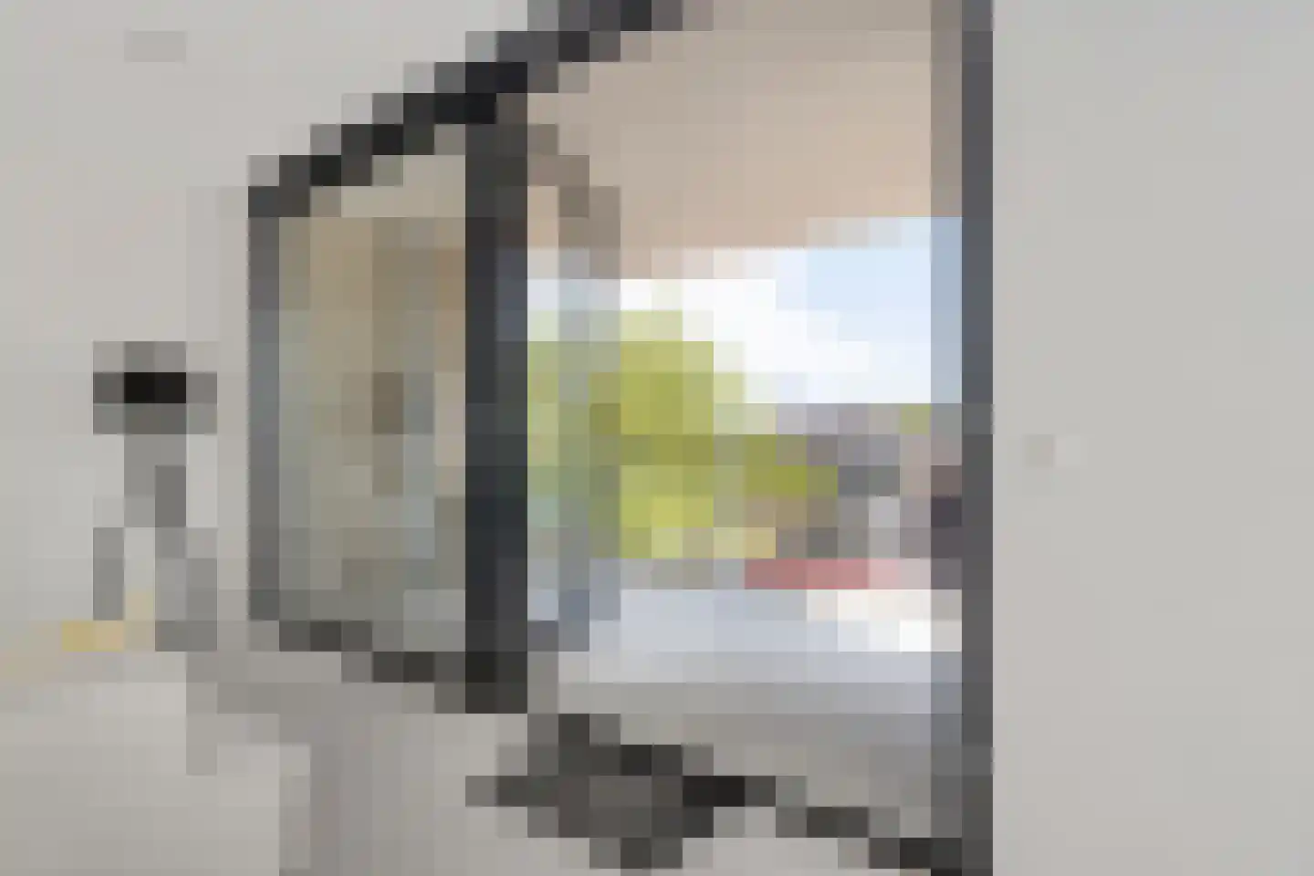 Carmelietenstraat 37 Oss thumbnail 24