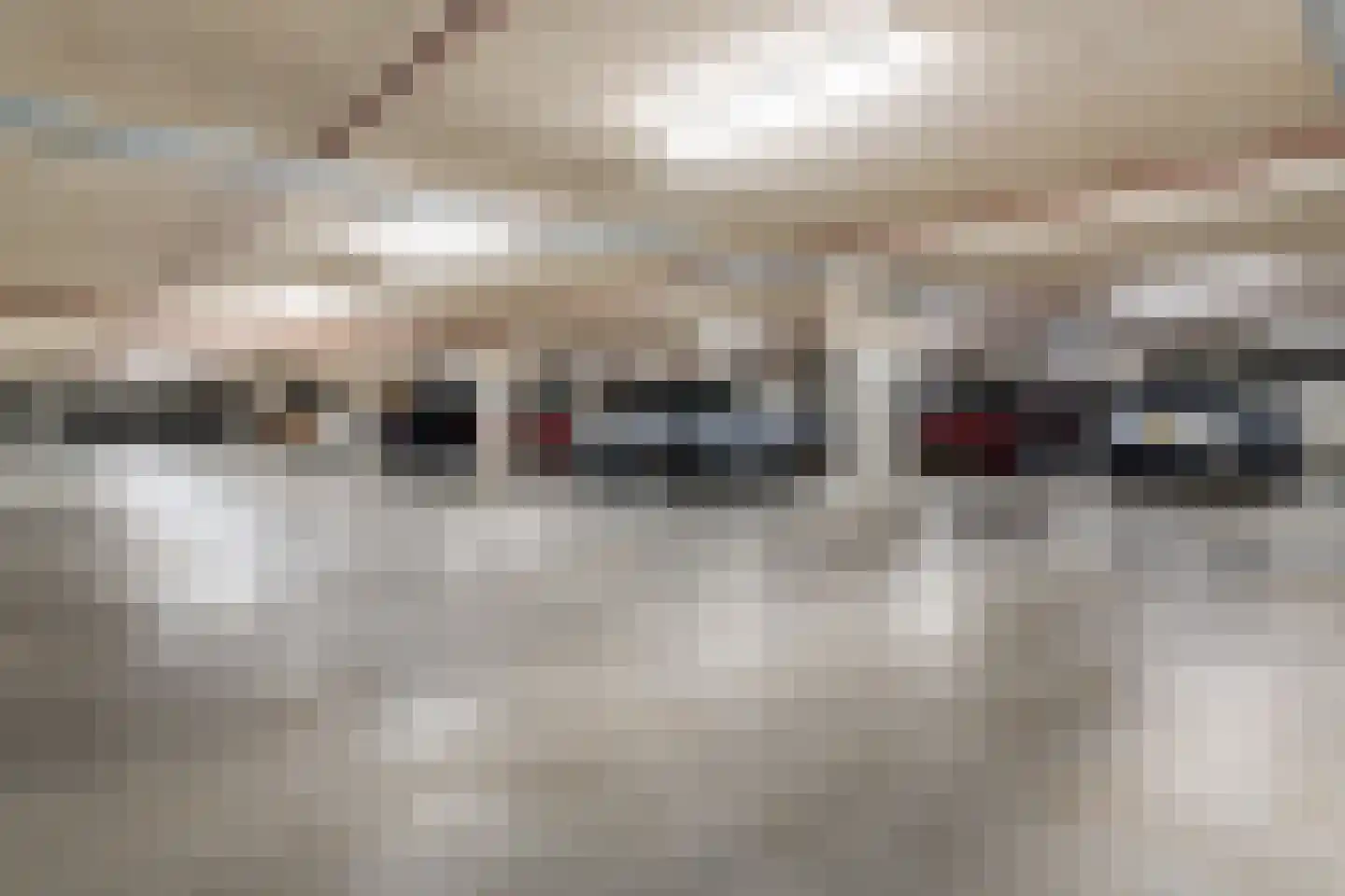 Carmelietenstraat 37 Oss thumbnail 45