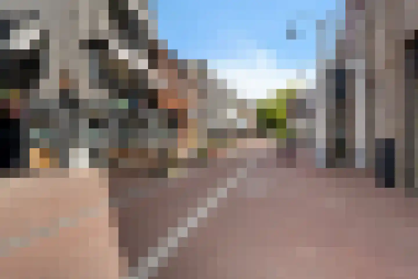 Carmelietenstraat 37 Oss thumbnail 52
