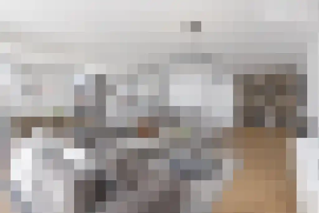 Carmelietenstraat 37 Oss thumbnail 6