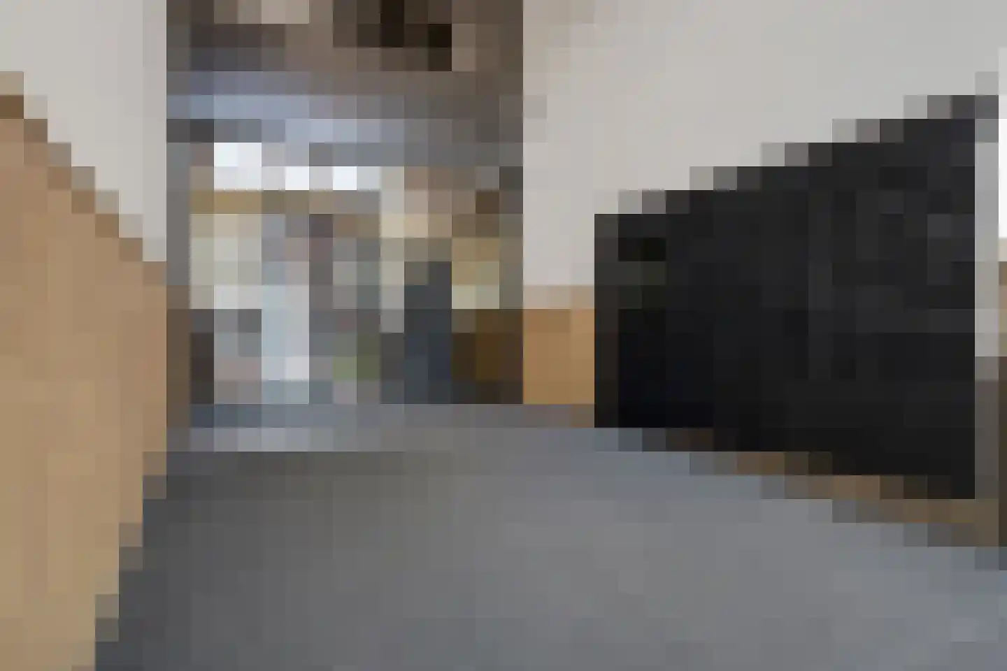 Carmelietenstraat 37 Oss thumbnail 9