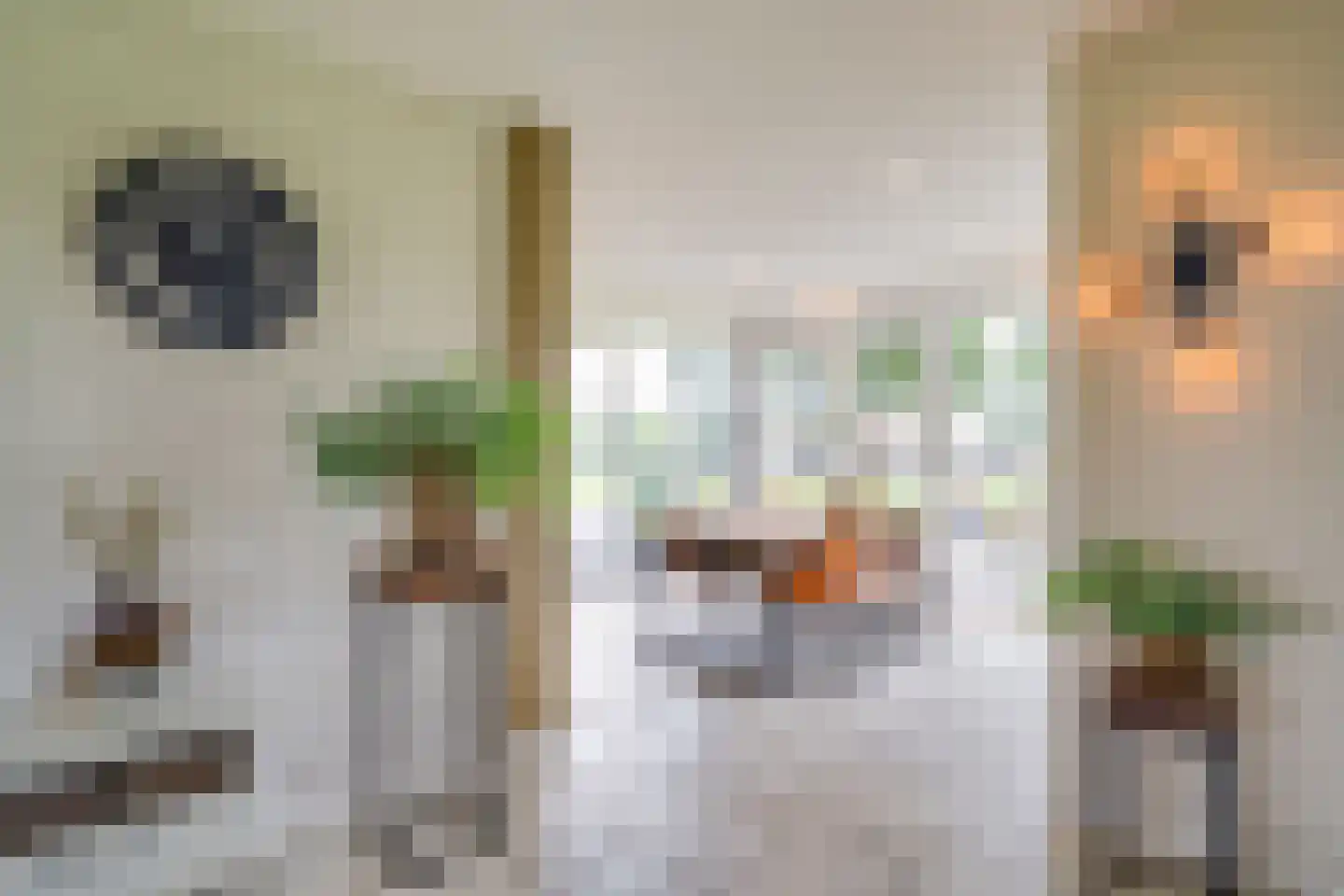 Carmelietenstraat 4 Smakt thumbnail 10