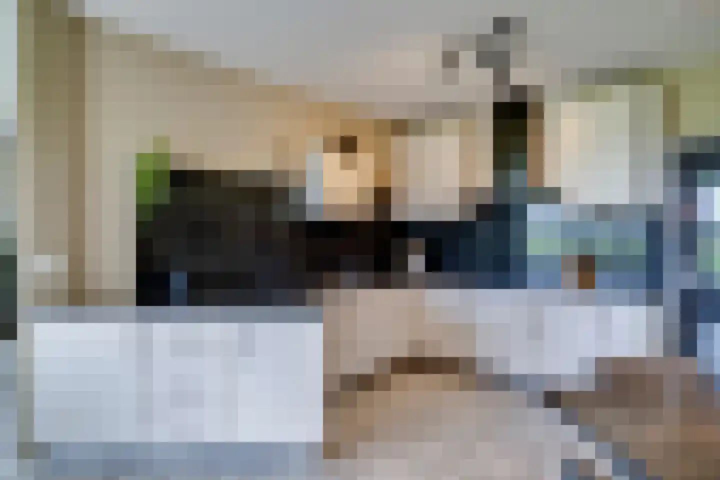 Carmelietenstraat 4 Smakt thumbnail 12