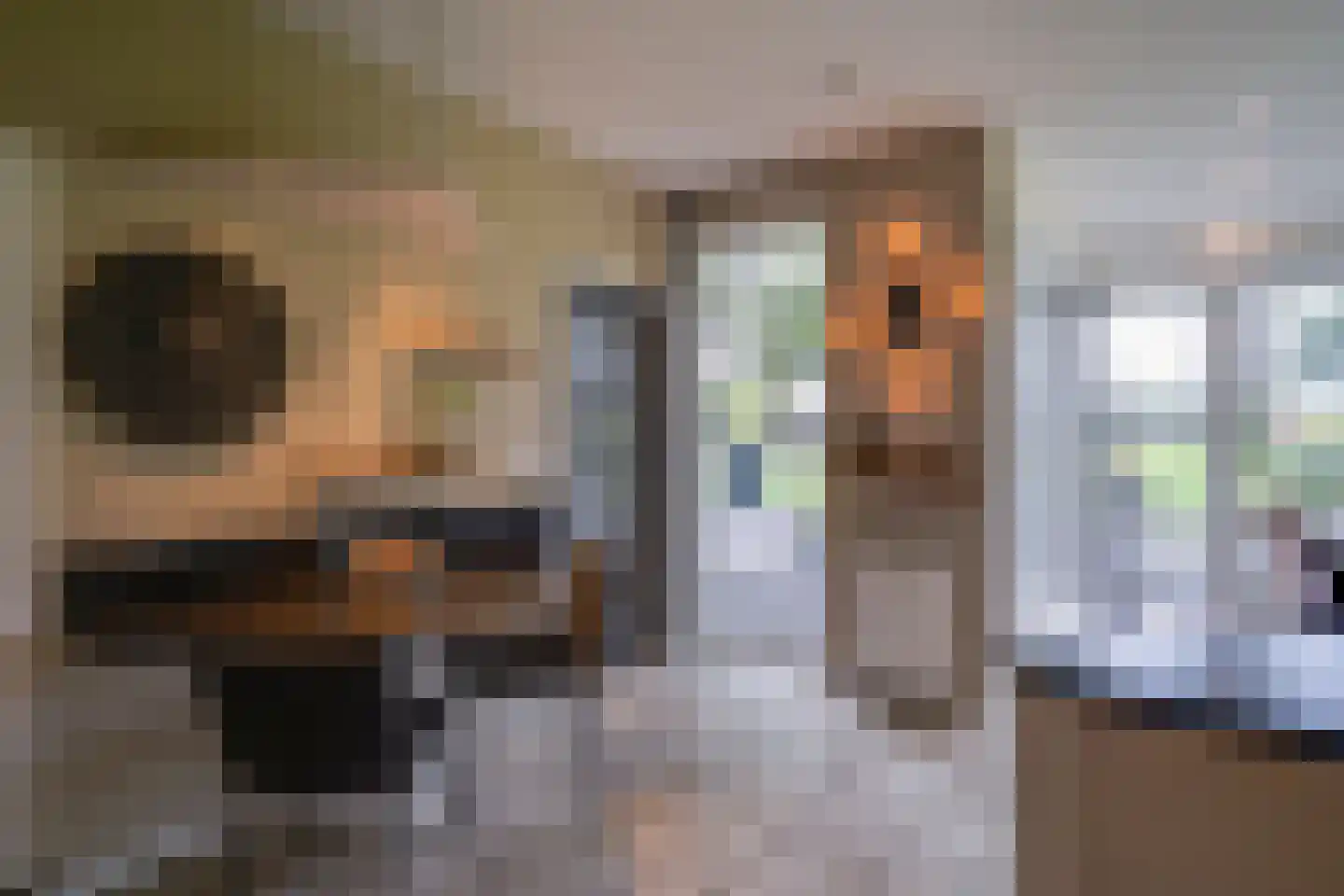 Carmelietenstraat 4 Smakt thumbnail 15