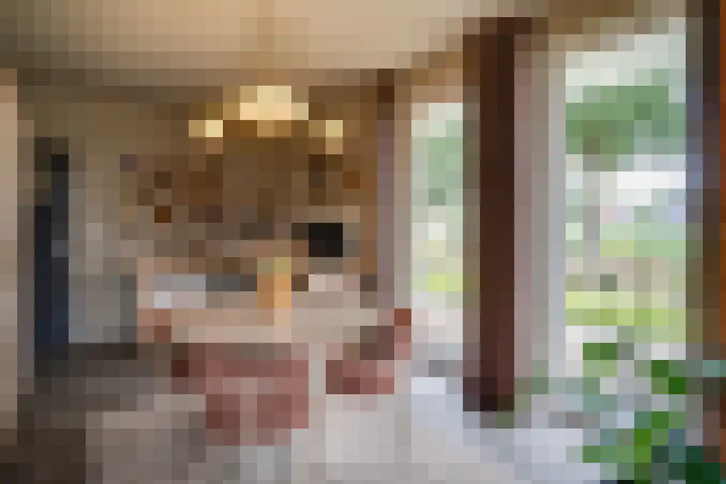 Carmelietenstraat 4 Smakt thumbnail 19