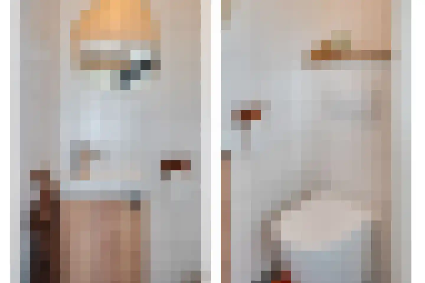 Carmelietenstraat 4 Smakt thumbnail 23